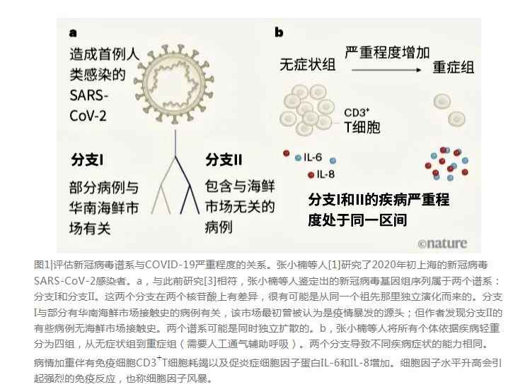 1595337042435490.jpg 評(píng)估新冠病毒譜系與COVID-19嚴(yán)重程度的關(guān)系 (2).jpg