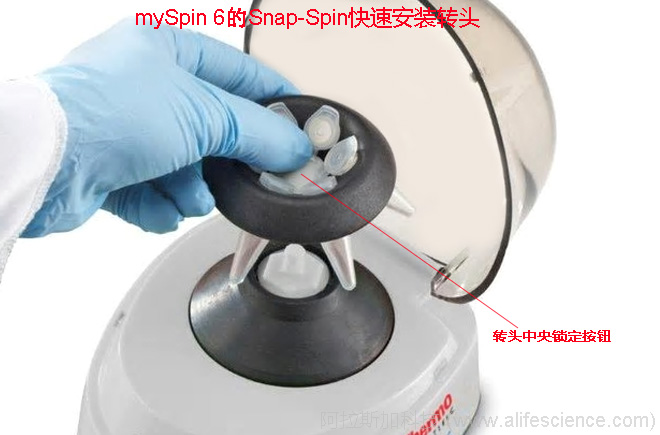 賽默飛mySPIN 6 迷你離心機 賽默飛mySPIN 6 迷你離心機