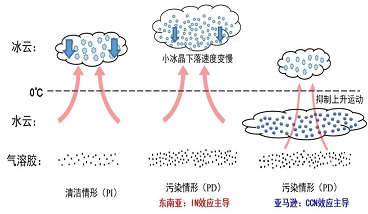 CCN（云凝結(jié)核）效應(yīng)、IN（冰核）效應(yīng)
