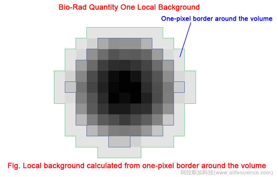 Bio-Rad Local Background Subtraction Bio-Rad Local Background Subtraction