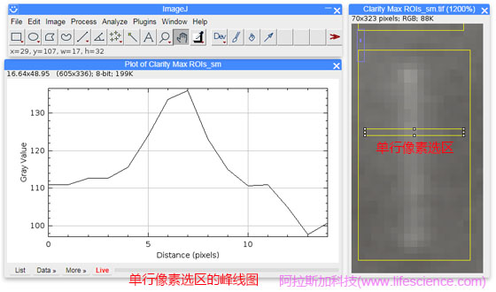 ImageJ軟件Plot Profile的單行像素選區(qū)ROI顯示功能.jpg ImageJ軟件Plot Profile的單行像素選區(qū)ROI顯示功能.jpg