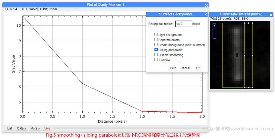 Fig 5 smoothing+sliding paraboloid設(shè)置下ROI圖像強(qiáng)度分布曲線末段走勢(shì)圖.jpg Fig 5 smoothing+sliding paraboloid設(shè)置下ROI圖像強(qiáng)度分布曲線末段走勢(shì)圖.jpg