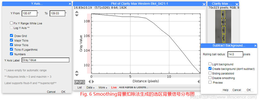 Fig 6 Smoothing算法生成的選區(qū)背景信號(hào)分布圖.jpg Fig 6 Smoothing算法生成的選區(qū)背景信號(hào)分布圖.jpg