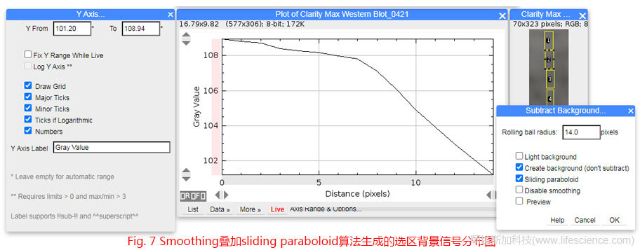Fig 7 Smoothing疊加sliding paraboloid算法生成的選區(qū)背景信號(hào)分布圖.jpg Fig 7 Smoothing疊加sliding paraboloid算法生成的選區(qū)背景信號(hào)分布圖.jpg