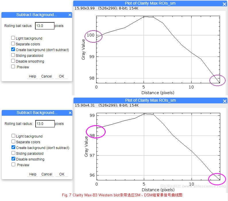 Fig 7 Clarity Max-B3 Western blot條帶選區(qū)SM、DSM組背景信號(hào)曲線圖.jpg
