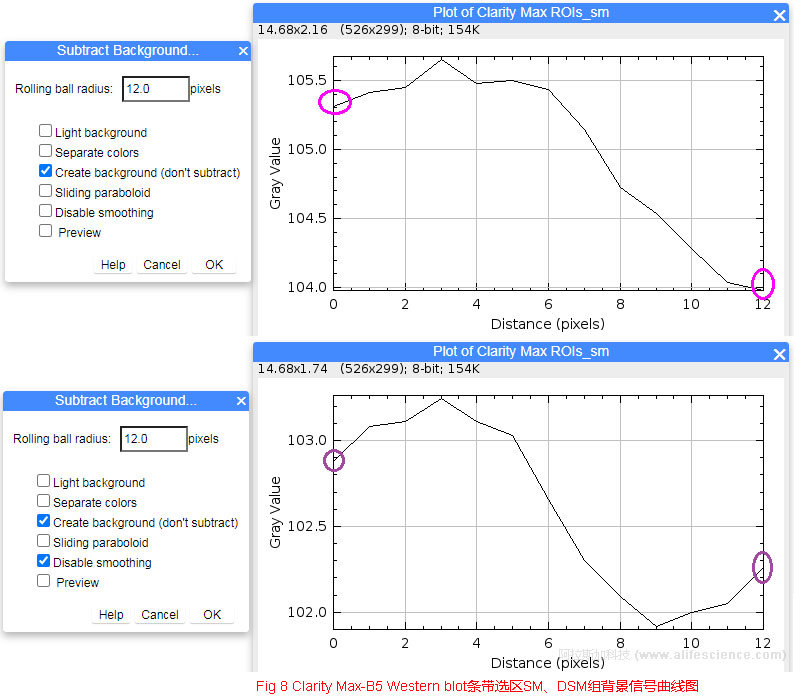 Fig 8 Clarity Max-B5 Western blot條帶選區(qū)SM、DSM組背景信號(hào)曲線圖.jpg
