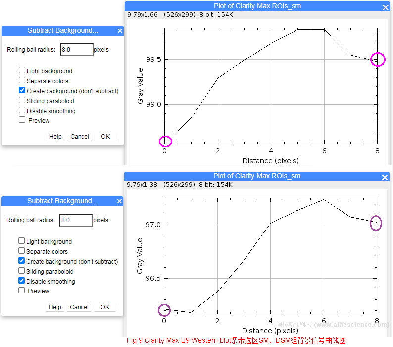 Fig 9 Clarity Max-B9 Western blot條帶選區(qū)SM、DSM組背景信號(hào)曲線圖.jpg