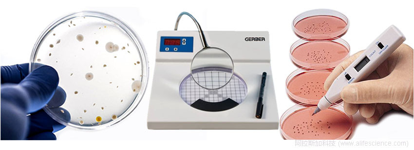 1625970620168560.jpg 蜂蜜瀏覽器_菌落計數(shù)主題圖.jpg