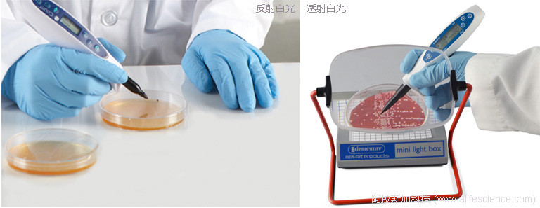 菌落計數(shù)反射白光-透射白光光源.jpg 菌落計數(shù)反射白光-透射白光光源.jpg