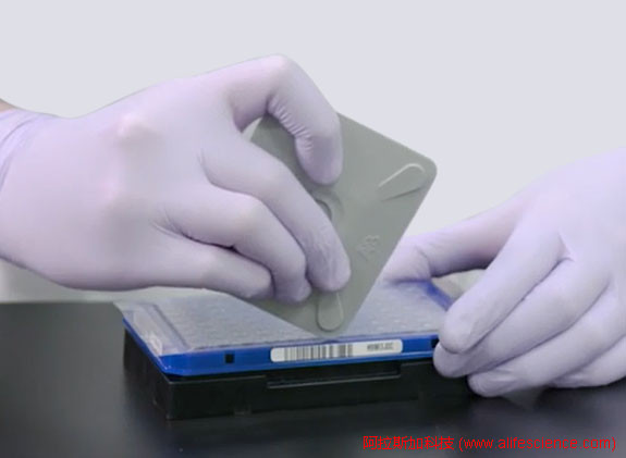 PCR封膜刮板使用方法.jpg PCR封膜刮板使用方法.jpg