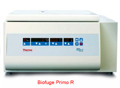 Biofuge Primo R臺式多功能低溫高速離心機.jpg Biofuge Primo R臺式多功能低溫高速離心機.jpg