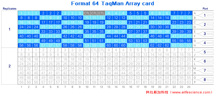 QuantStudio 6 Flex Format 64 TaqMan Array card.jpg QuantStudio 6 Flex Format 64 TaqMan Array card.jpg