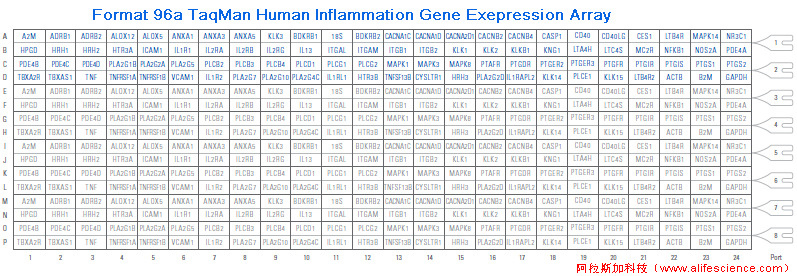 QuantStudio 6 Pro實(shí)時(shí)熒光定量PCR儀Format 96A 炎癥基因表達(dá)TAC.jpg QuantStudio 6 Pro實(shí)時(shí)熒光定量PCR儀Format 96A 炎癥基因表達(dá)TAC.jpg