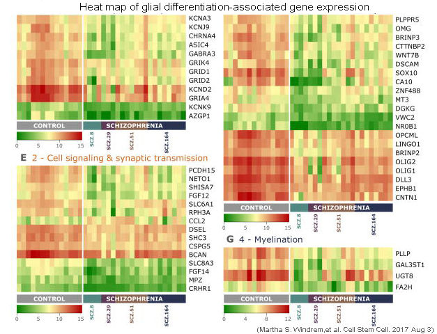 QuantStudio 12K Flex實時熒光定量PCR儀TAC測試數(shù)據(jù)heatmap.jpg QuantStudio 12K Flex實時熒光定量PCR儀TAC測試數(shù)據(jù)heatmap.jpg