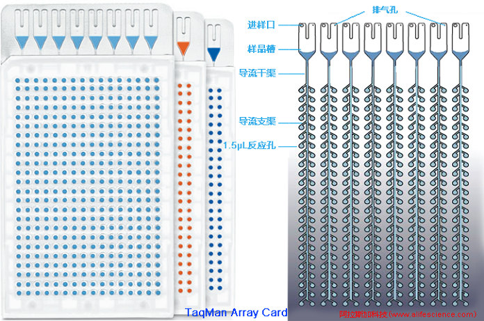 QuantStudio 7 Pro實時熒光定量PCR儀TaqMan Array Card.jpg QuantStudio 7 Pro實時熒光定量PCR儀TaqMan Array Card.jpg
