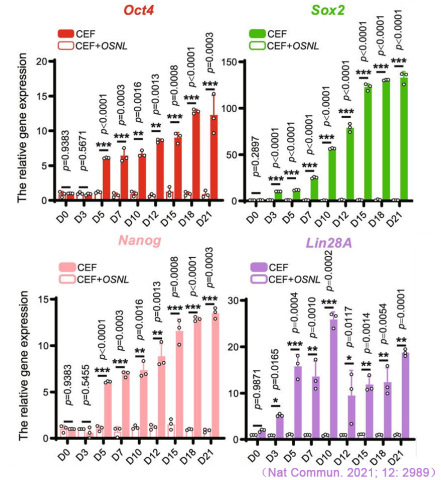 CFX Connect實(shí)時熒光定量PCR儀對iPS多能性標(biāo)記基因Oct4、Sox2、Nanog和Lin28A表達(dá)的檢測.jpg