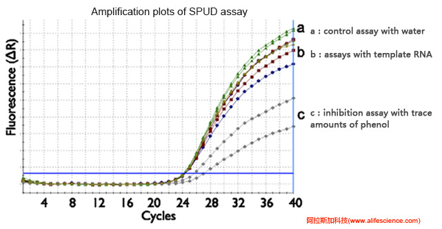 蜂蜜瀏覽器_實(shí)時(shí)熒光定量PCR反應(yīng)抑制劑測(cè)試.jpg 蜂蜜瀏覽器_實(shí)時(shí)熒光定量PCR反應(yīng)抑制劑測(cè)試.jpg
