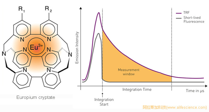HTRF技術(shù)用的熒光標(biāo)記物Eu cryptate.jpg HTRF技術(shù)用的熒光標(biāo)記物Eu cryptate.jpg