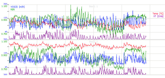 TSE PhenoMaster NG代謝監(jiān)測(cè)數(shù)據(jù)顯示界面.jpg