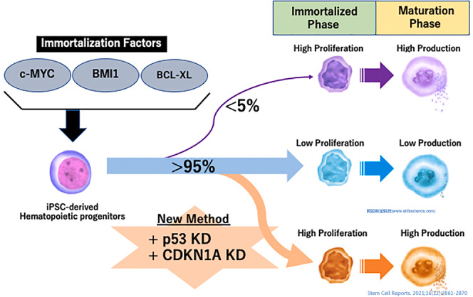 Beckman超速離心機Type 19角轉頭應用文獻報道Stem Cell Reports.jpg Beckman超速離心機Type 19角轉頭應用文獻報道Stem Cell Reports.jpg