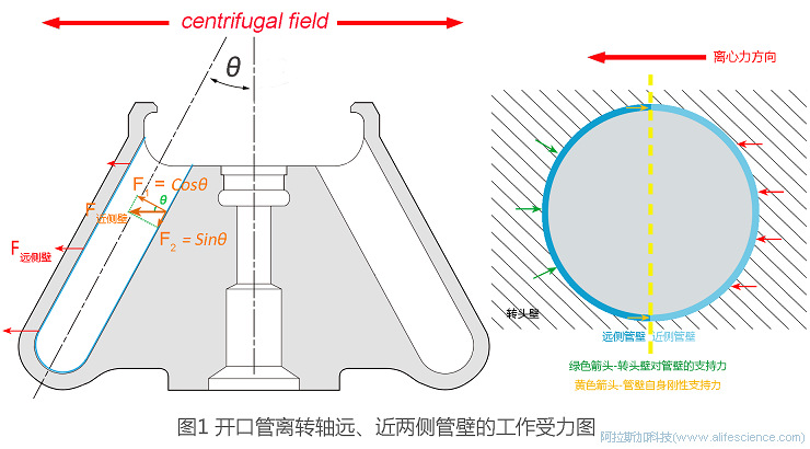 Optima MAX-XP臺式超速離心機MLA-80角轉(zhuǎn)頭適配5.8mL厚壁管355647工作原理圖.jpg Optima MAX-XP臺式超速離心機MLA-80角轉(zhuǎn)頭適配5.8mL厚壁管355647工作原理圖.jpg