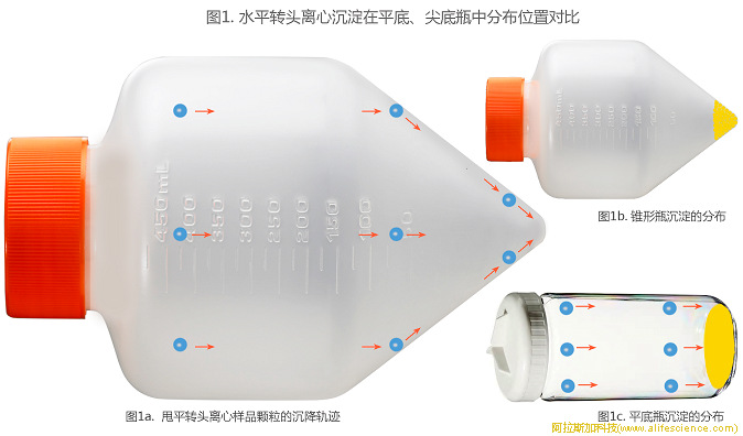 圖1. 水平轉頭離心沉淀在平底、尖底瓶中分布位置對比.jpg