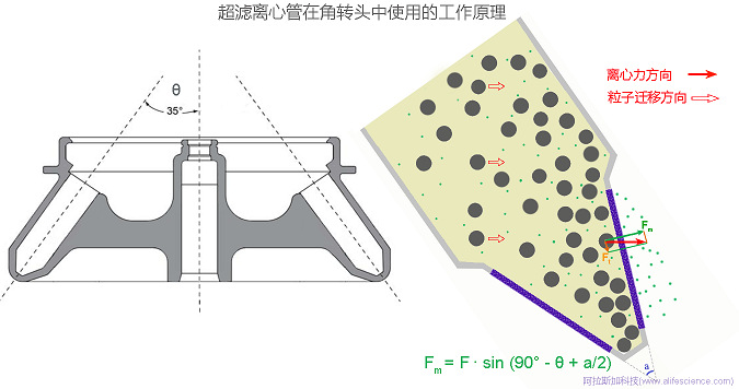 Cytiav Vivaspin 20 超濾離心管在JA-14.50角轉(zhuǎn)頭中的工作原理圖.jpg Cytiav Vivaspin 20 超濾離心管在JA-14.50角轉(zhuǎn)頭中的工作原理圖.jpg