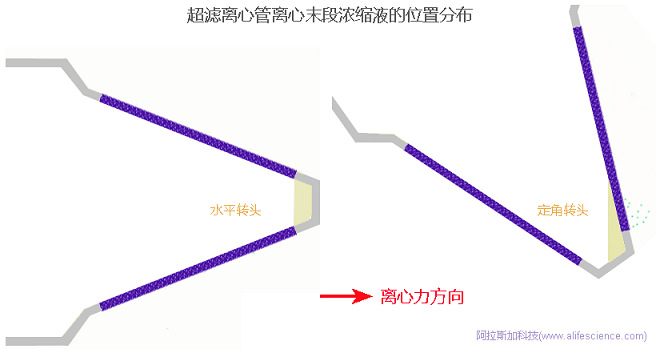 超濾離心管在不同轉(zhuǎn)頭中離心后濃縮液體積差異產(chǎn)生原理圖.jpg 超濾離心管在不同轉(zhuǎn)頭中離心后濃縮液體積差異產(chǎn)生原理圖.jpg