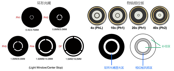 Zeiss Axio Observer 7 Leica DMi8 Olympus IXplore Pro(IX83)倒置熒光顯微鏡配套環(huán)形光闌及相位板示意圖.jpg Zeiss Axio Observer 7 Leica DMi8 Olympus IXplore Pro(IX83)倒置熒光顯微鏡配套環(huán)形光闌及相位板示意圖.jpg